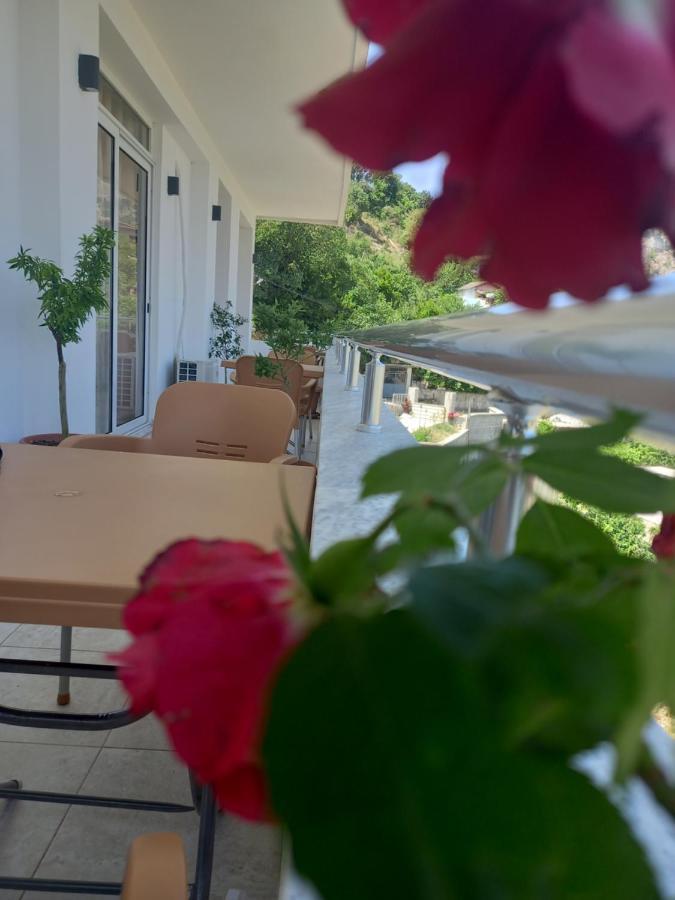 Vladimir Estate Hotel Гирокастра Экстерьер фото